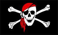 My thoughts on Software piracy